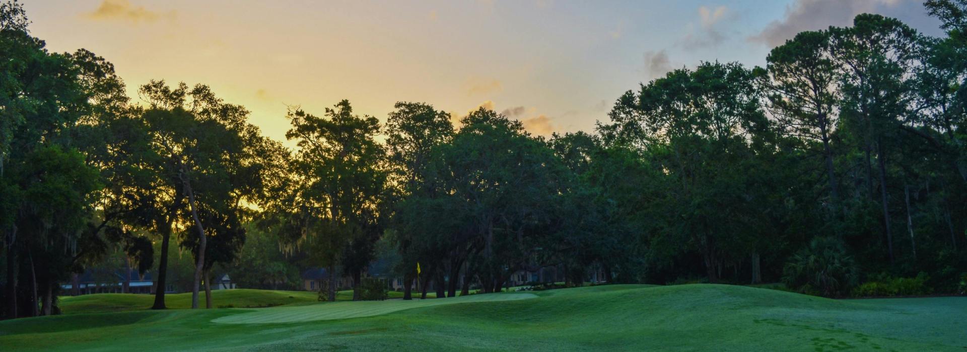 golf course green